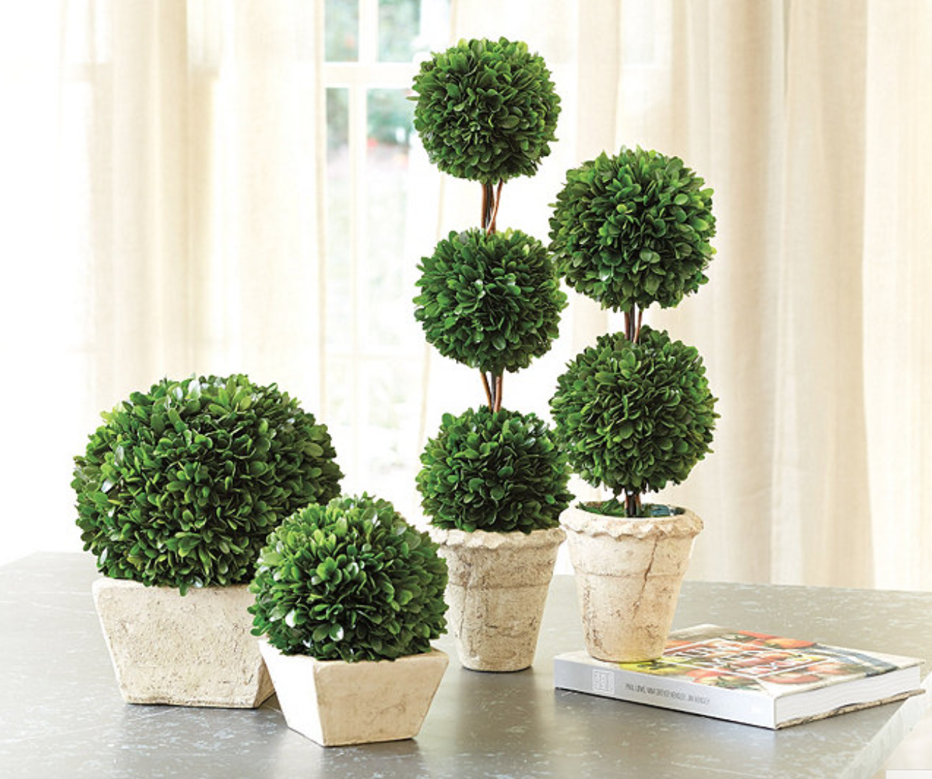 Green with Envy — Lauren Nicholsen Green with Envy — Lauren Nicholsen